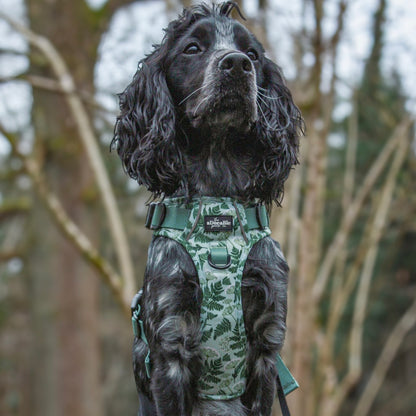 Hike & Go Lite™ Harness - Forest Of Ferns