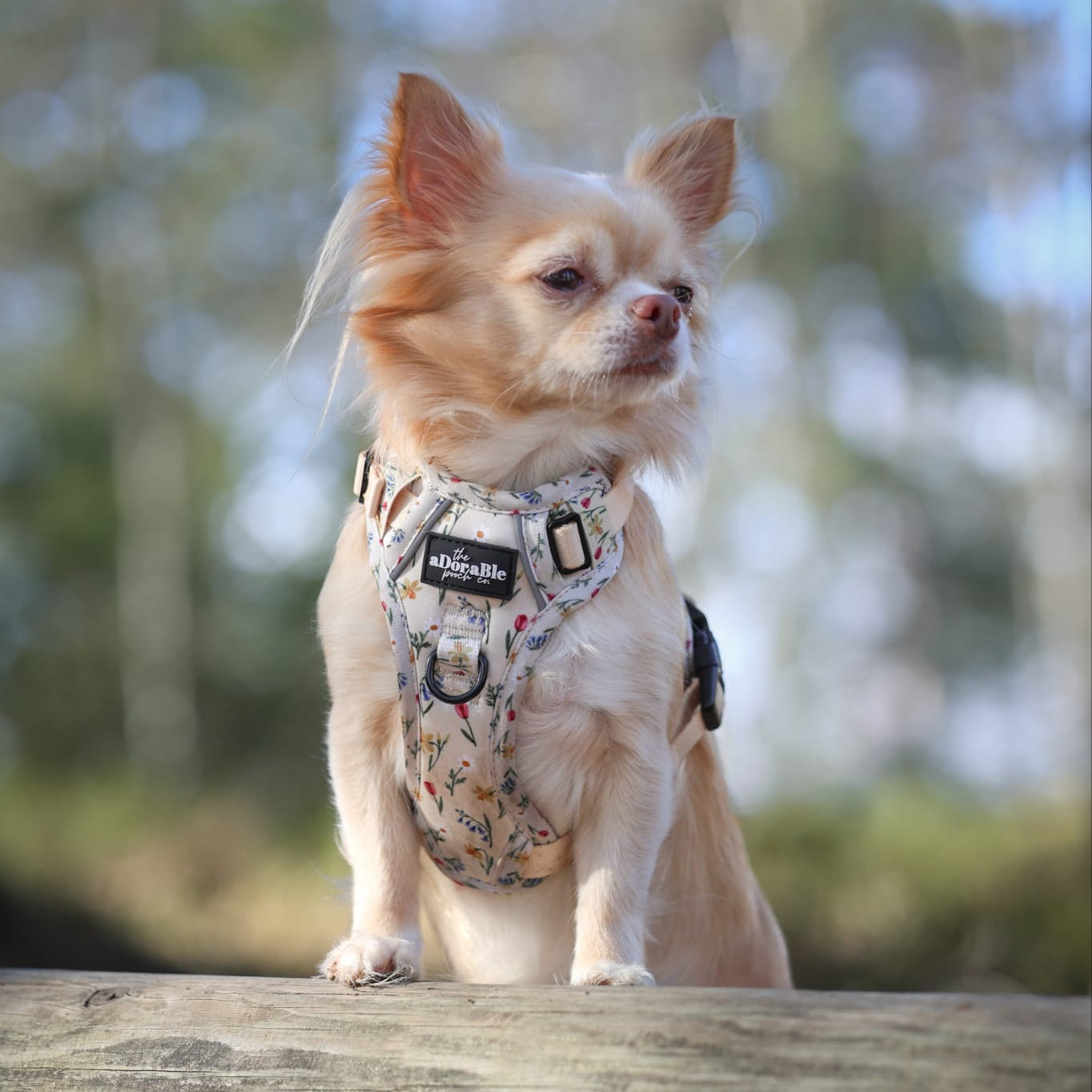 Hike & Go Lite™ Harness - Spring Garden