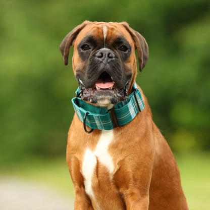 Heritage Martingale Collar - Pheasant Green