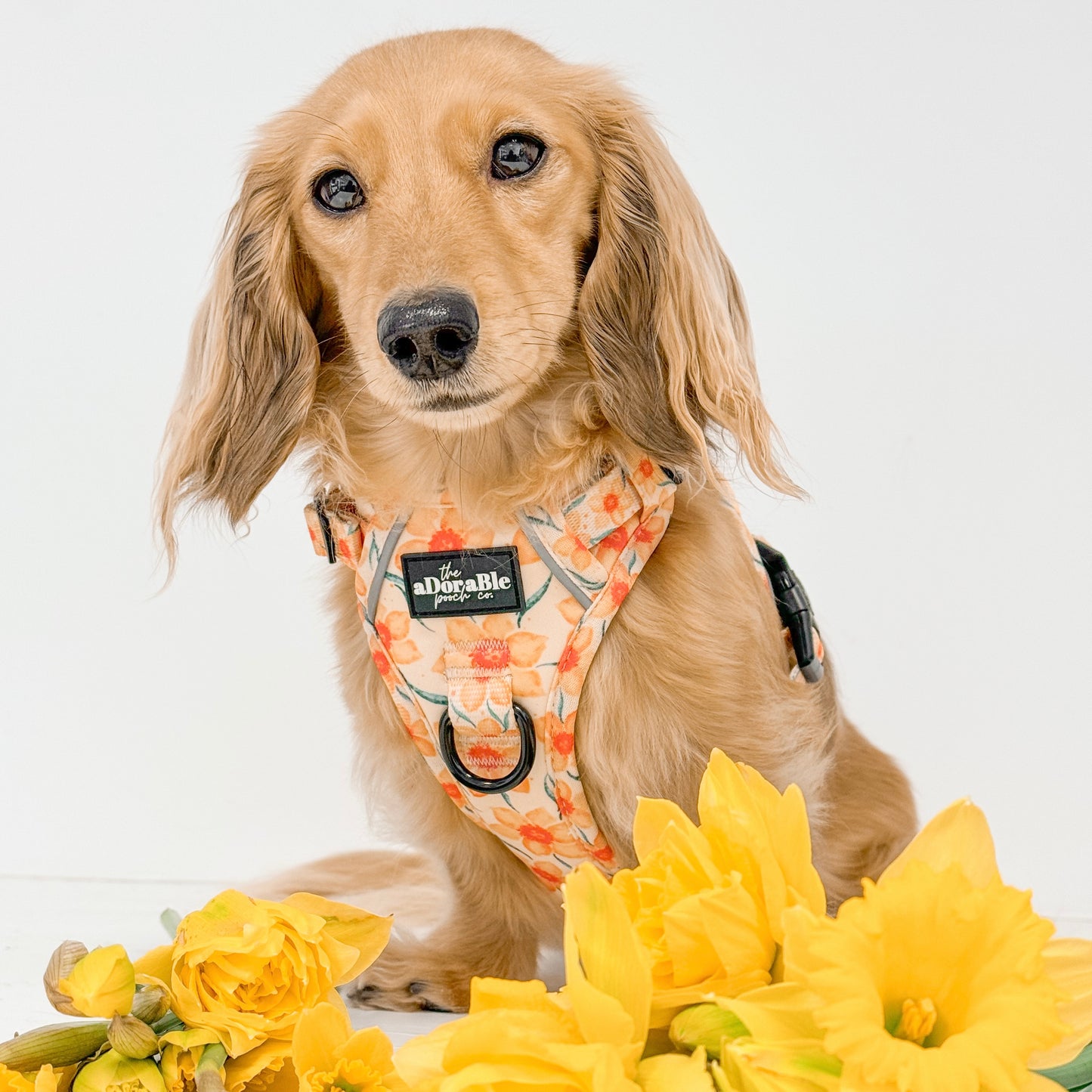 Hike & Go Lite™ Harness - Delicate Daffodils