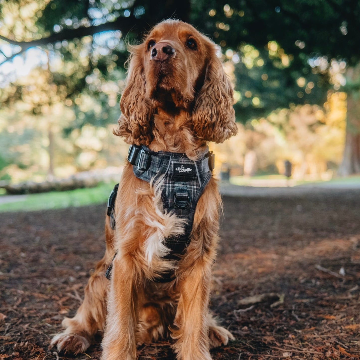 Hike & Go™ Harness - LUXE Hunter Green Plaid