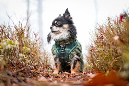 Adjustable Harness - LUXE Hunter Green Plaid