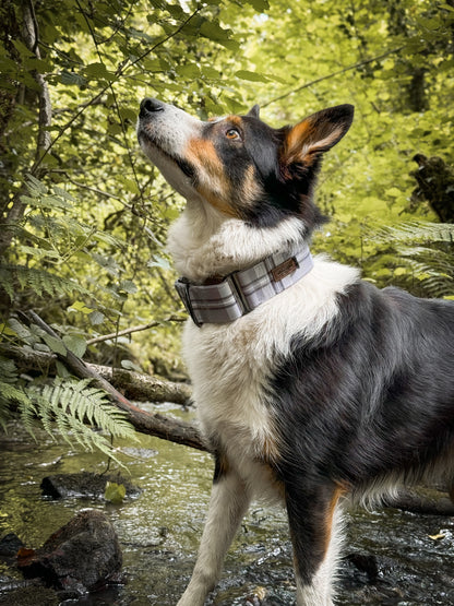 Heritage Martingale Collar - Gunsmoke Grey