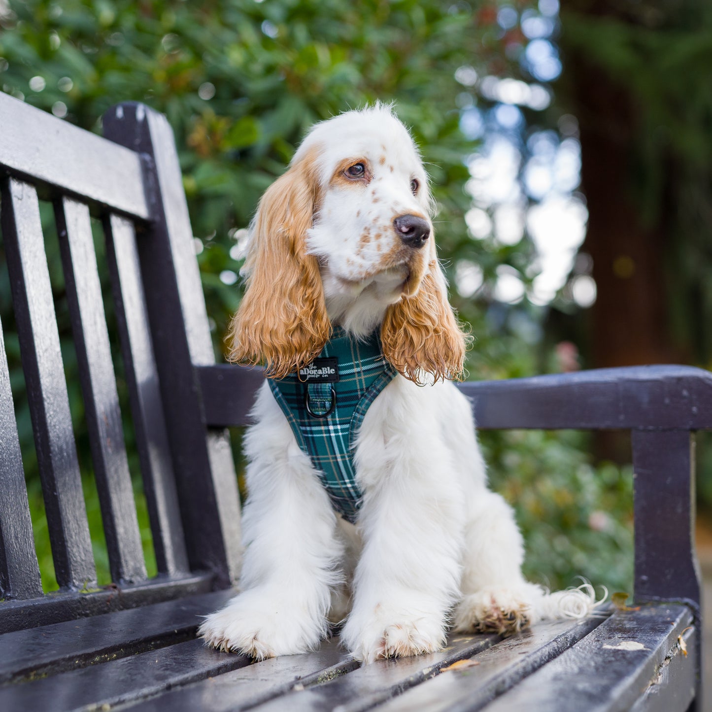 Adjustable Harness - LUXE Hunter Green Plaid