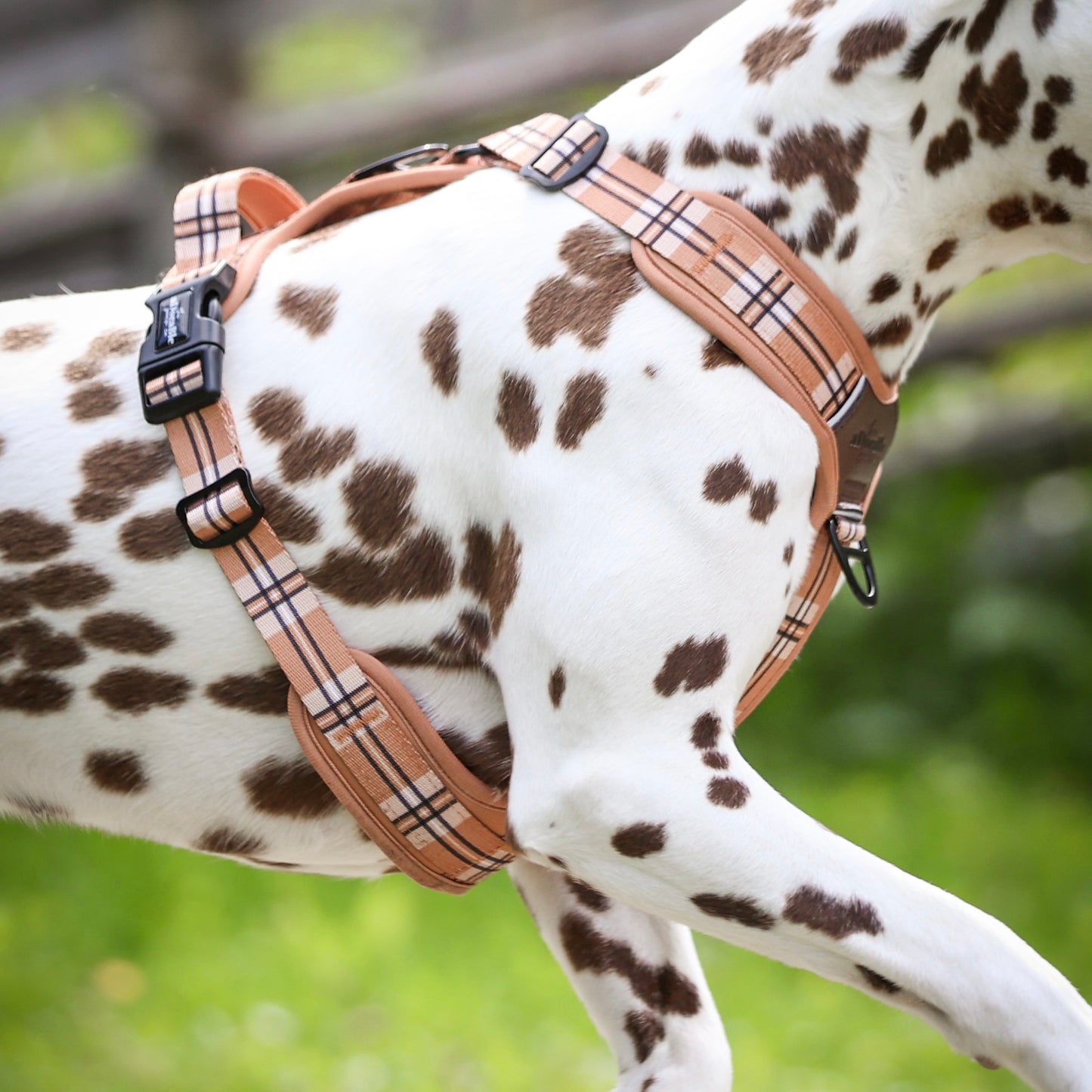 Streamline Pro™ Dog Harness - Heritage Collection - Butterscotch Biscuit