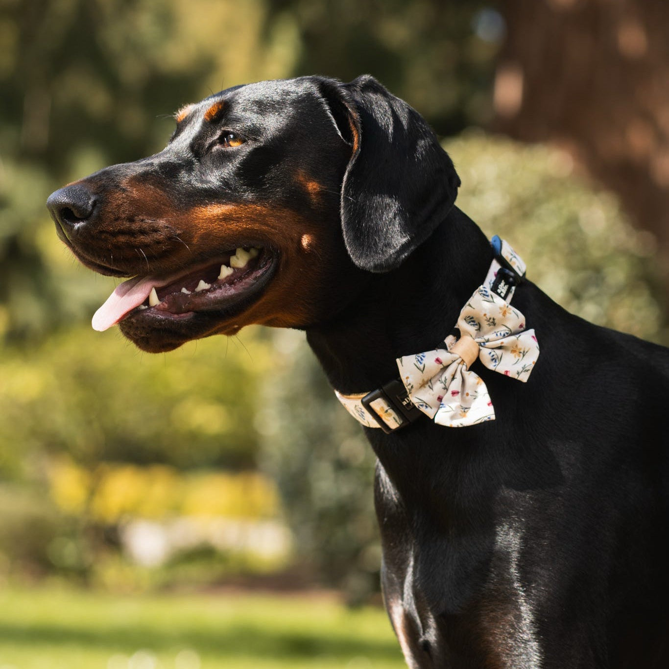 Dog Sailor Bow Tie - Spring Garden