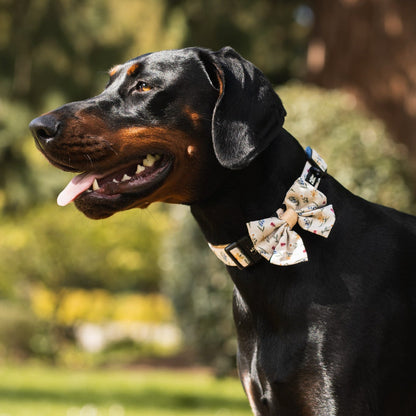 Dog Sailor Bow Tie - Spring Garden