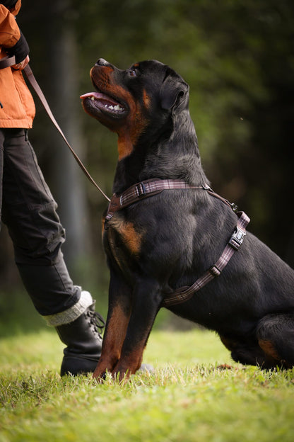 Streamline Pro™ Dog Harness - Heritage Collection - Truffle Brown