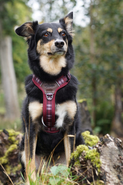 Streamline Pro™ Dog Harness - Heritage Collection - Merlot Manor