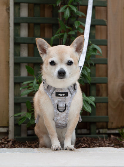 Laura Ashley Dog Harness - Magnolia Grove
