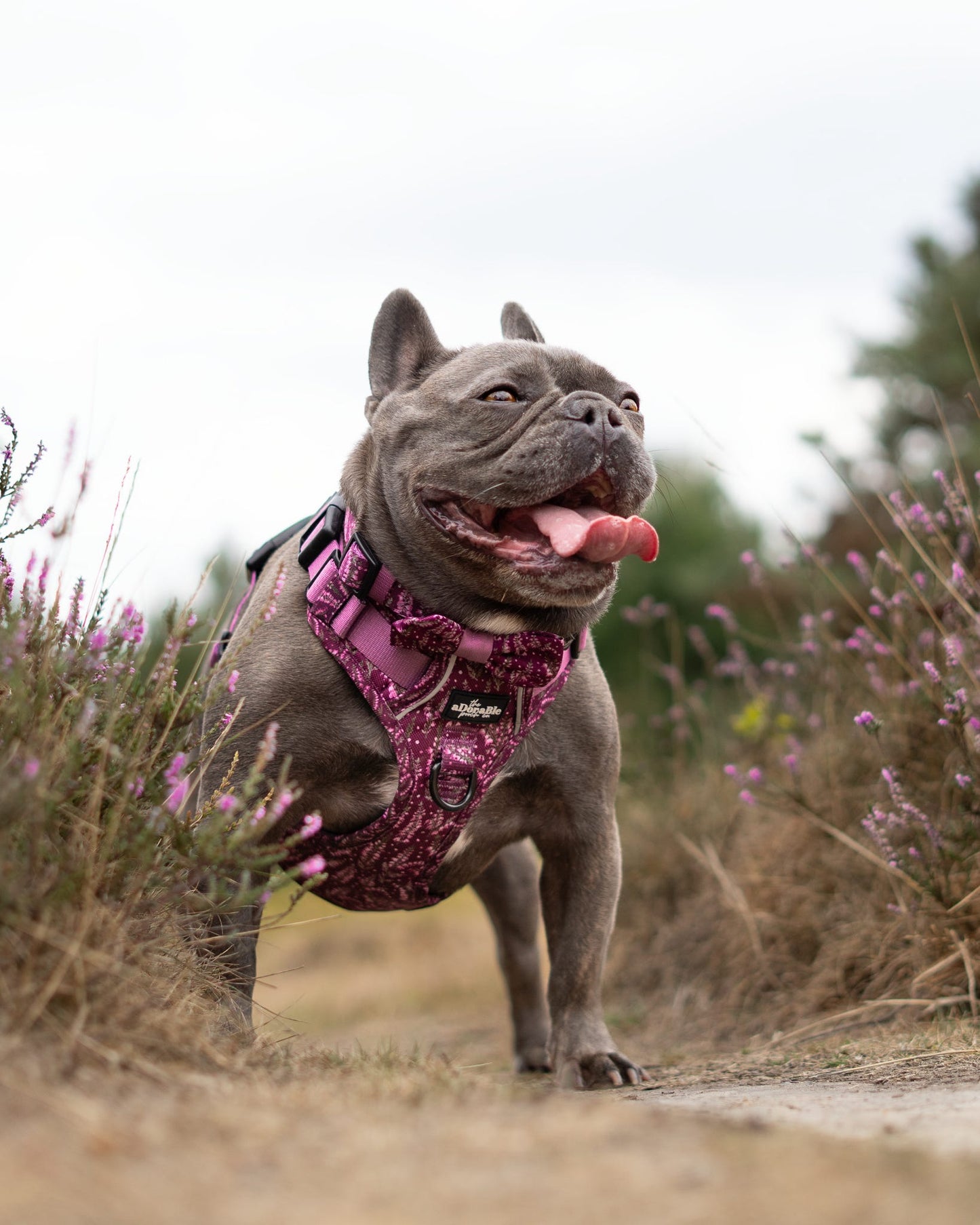 Hike & Go™ Harness - Highland Heather