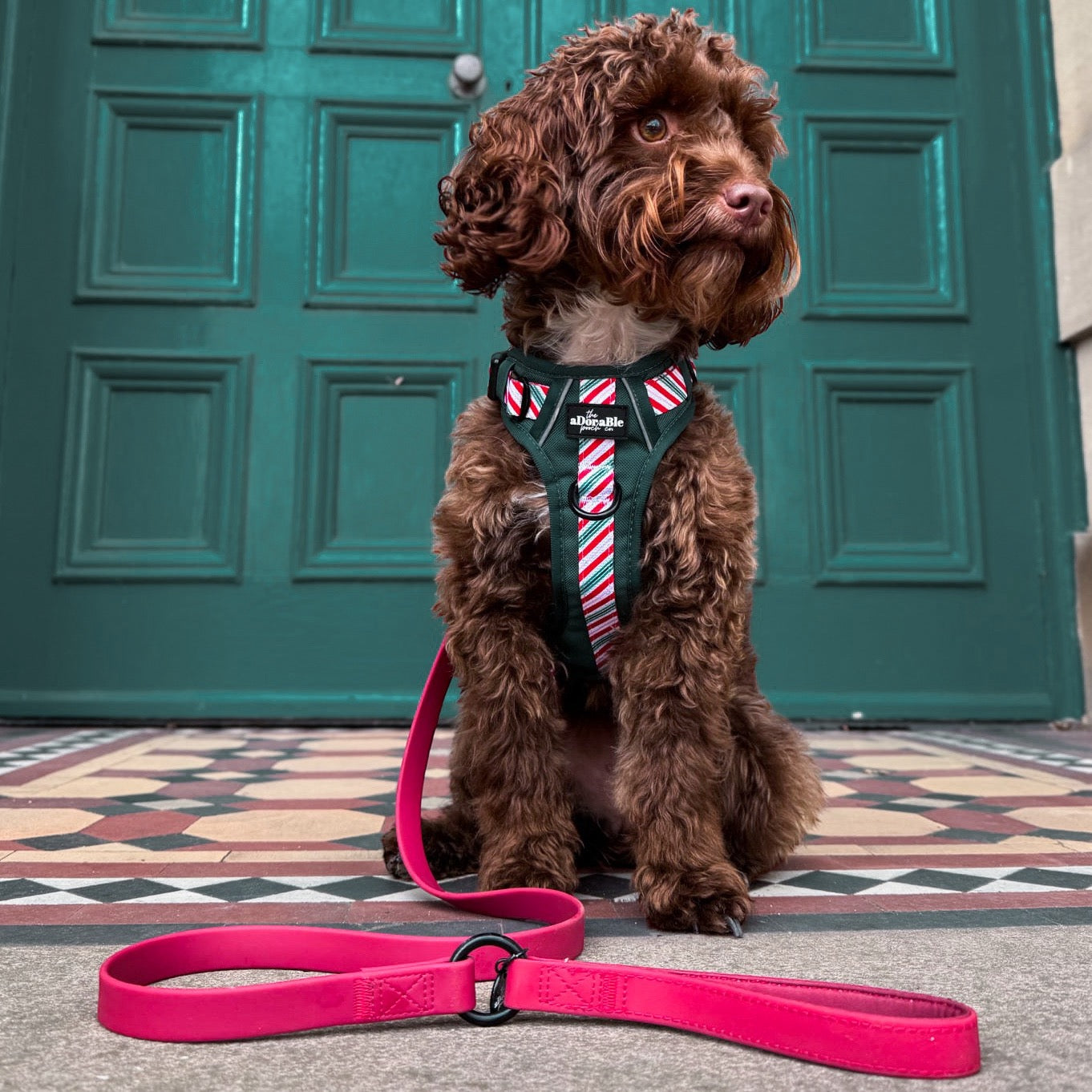 Hike & Go™ Harness - Candy Cane Forest