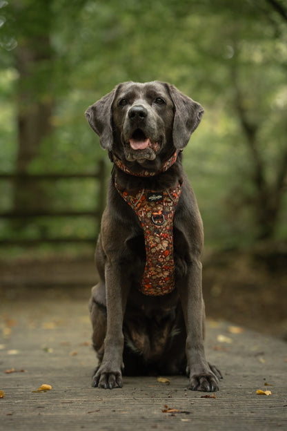 Hike & Go™ Harness - Foragers Forest