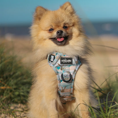 Hike & Go Lite™ Harness - Coastal Beach Grass