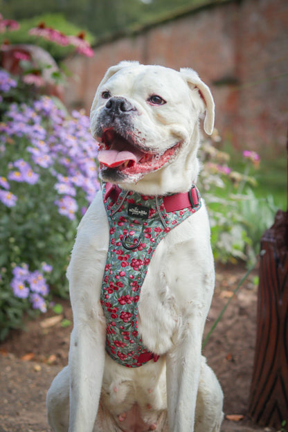 Hike & Go™ Harness - Crab Apple Cottage