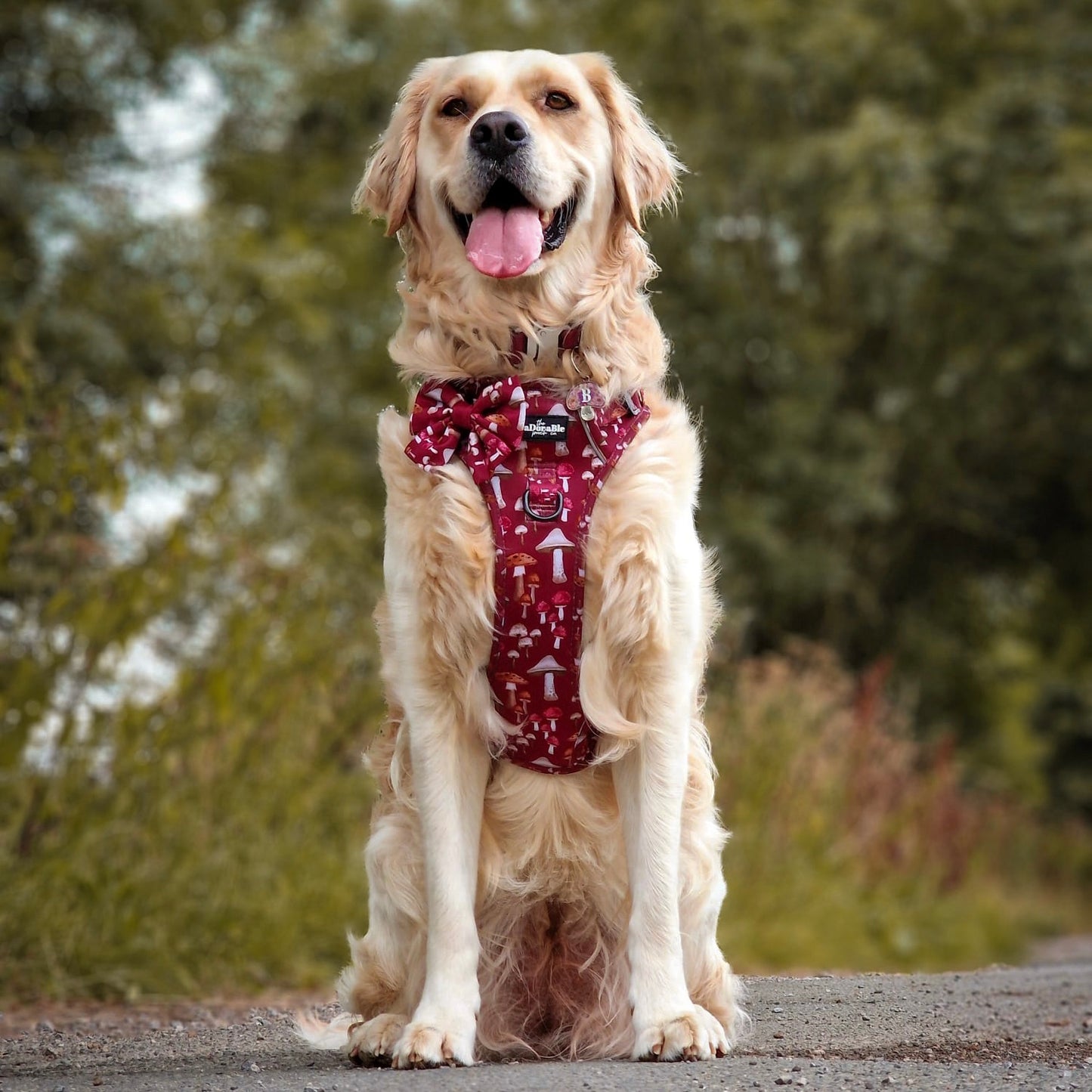 Hike & Go Lite™ Harness - Mulberry Mushrooms