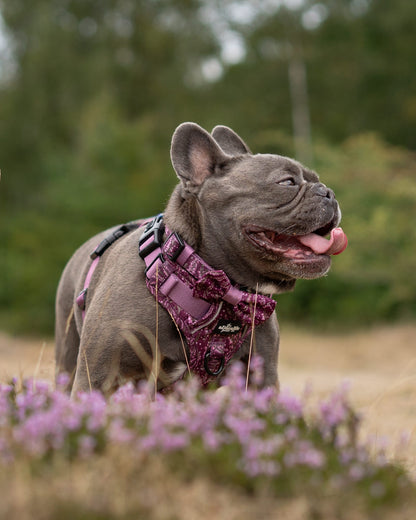 Bow Tie - Highland Heather