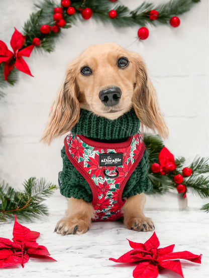 Hand Knitted Dachshund Jumper - Spruce Green