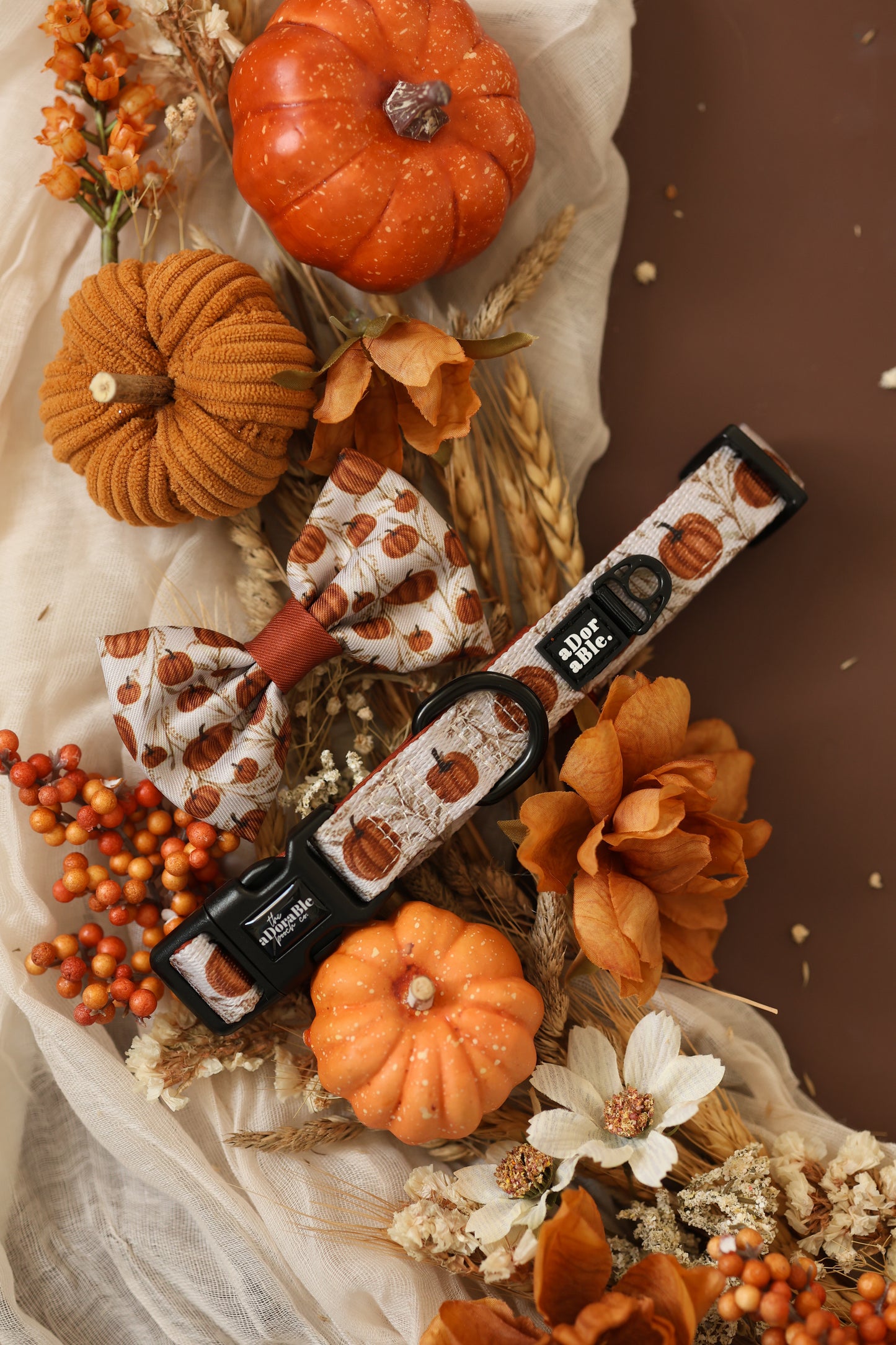 Bow Tie - Pumpkin Farm