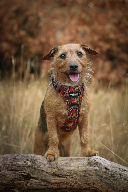 Hike & Go™ Harness - Foragers Forest