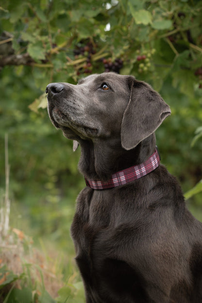 Heritage Collar - Merlot Manor