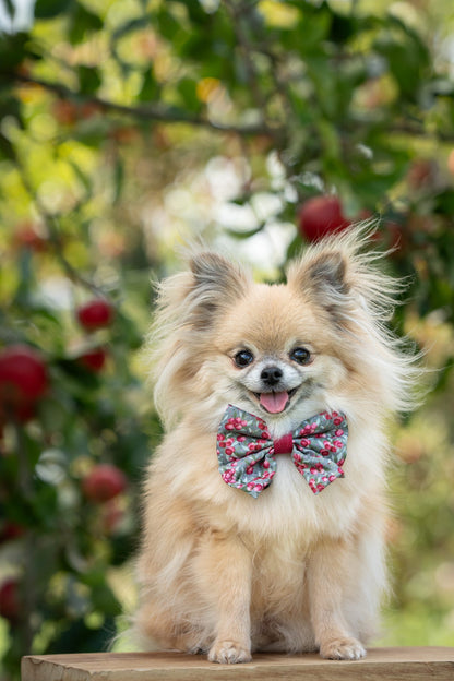 Sailor Bow Tie - Crab Apple Cottage