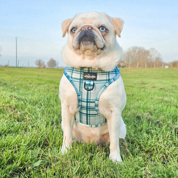 Adjustable Harness - LUXE Frosted Mint Plaid