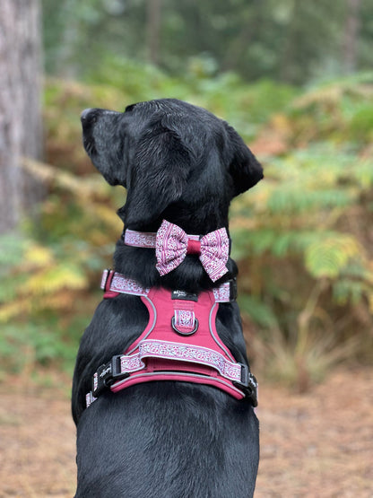 Sailor Bow Tie - Cherrywood Ivy