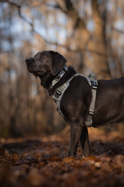 Hike & Go Lite™ Harness - Silent Snowdrops