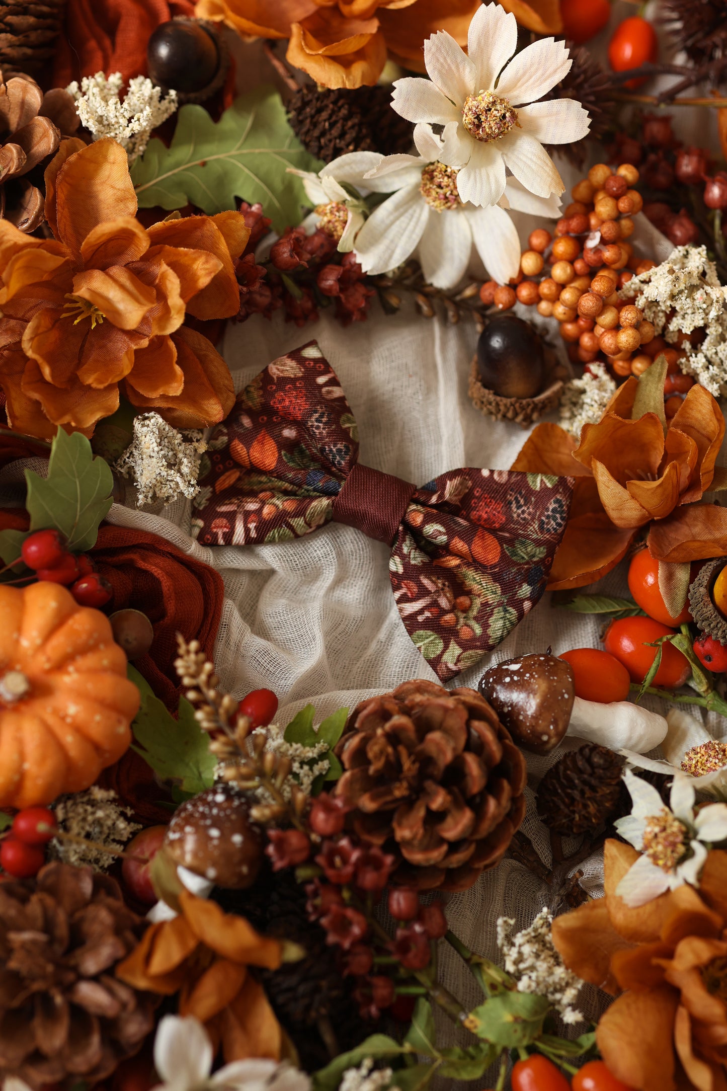 Bow Tie - Foragers Forest