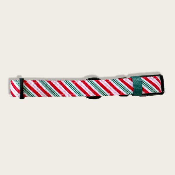 Collar - Candy Cane Forest