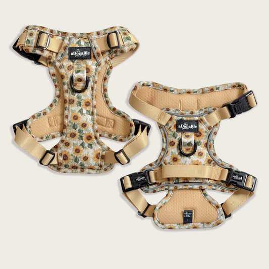 Hike & Go Lite™ Harness - Sunflower Season