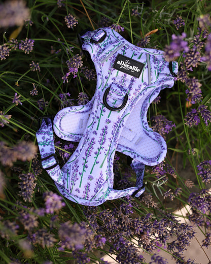 Hike & Go Lite™ Harness - Lavender Haze
