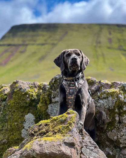 Hike & Go™ Harness - Nature Trails