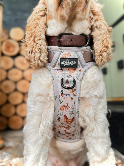 Hike & Go Lite™ Harness - Cotswold Cottage