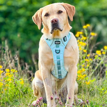 Hike & Go™ Harness - Hint Of Mint