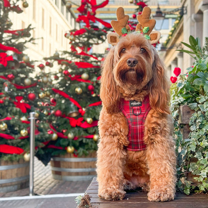 Adjustable Harness - LUXE Berry Red Plaid