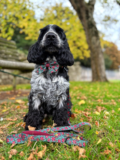 Sailor Bow Tie - Holly & Ivy