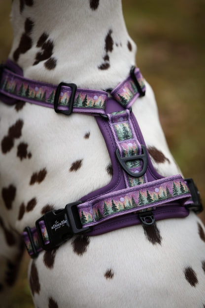 Streamline Pro™ Dog Harness - Moonlit Pines
