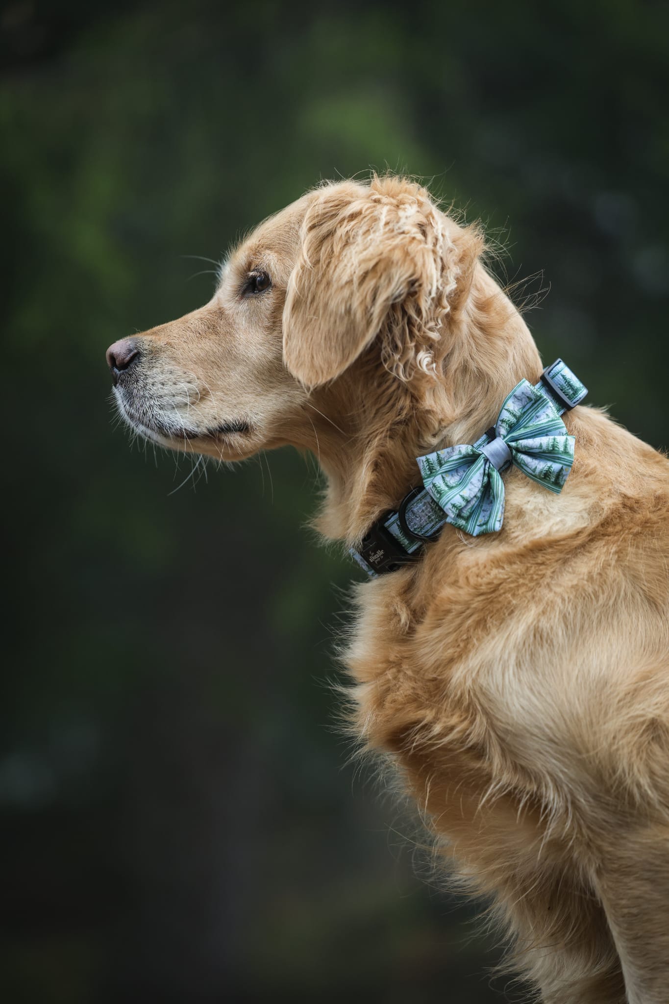 Sailor Bow Tie - Daydream Heights