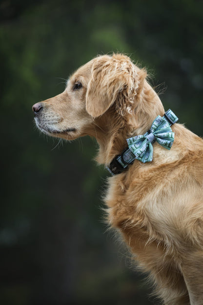 Sailor Bow Tie - Daydream Heights