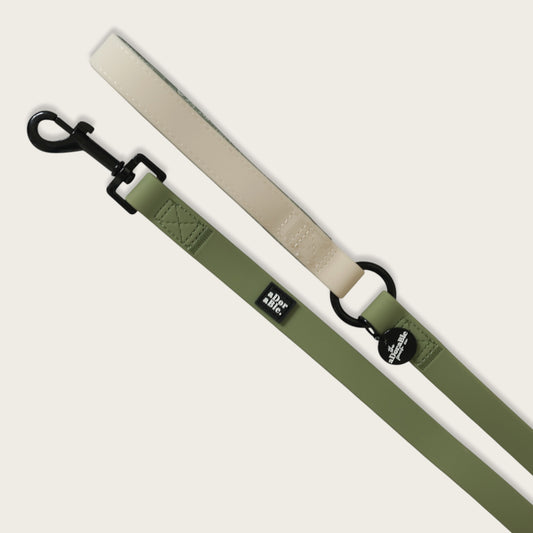 HydroFlex™ Two-tone Waterproof Dog Lead - Sage and Cream