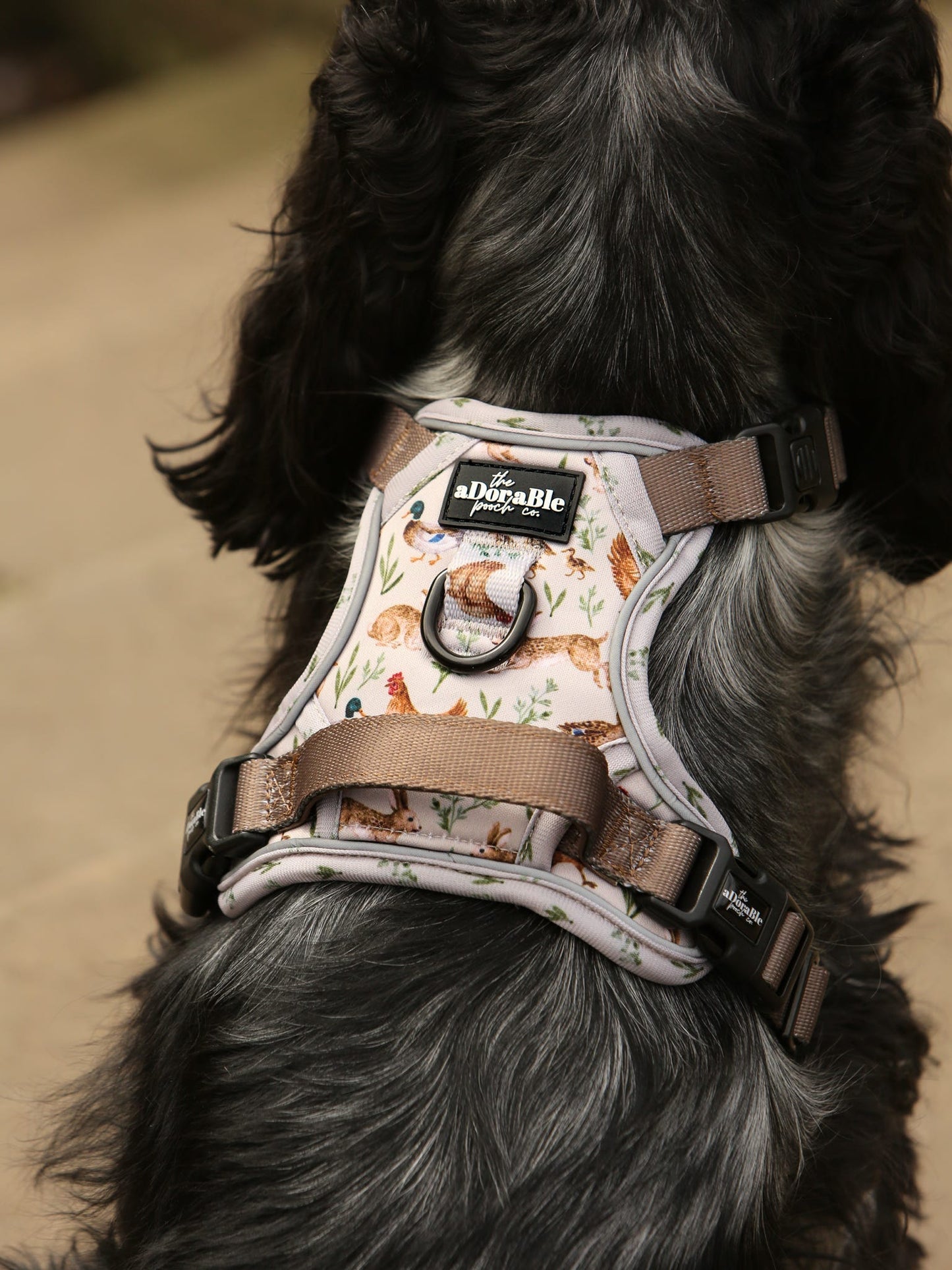 Hike & Go Lite™ Harness - Cotswold Cottage