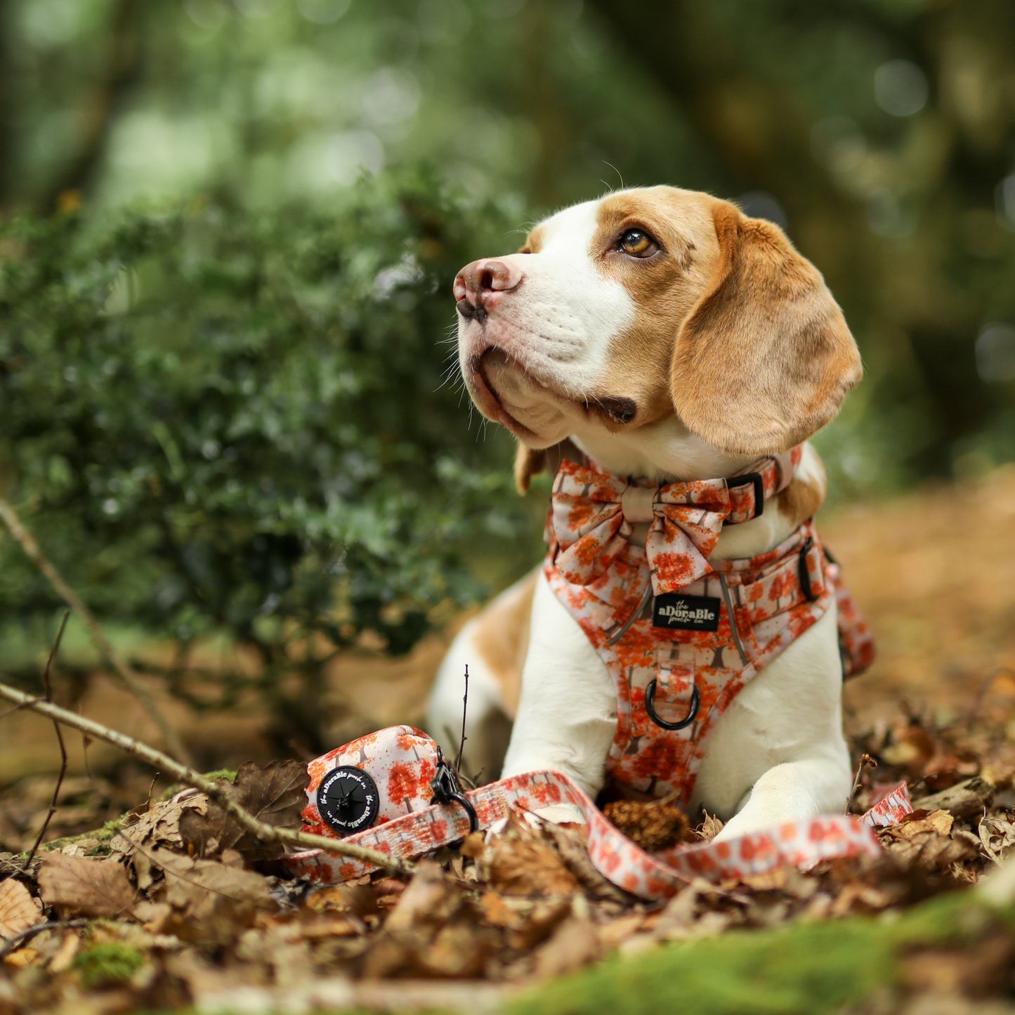 Hike & Go Lite™ Harness - Autumn Orchard