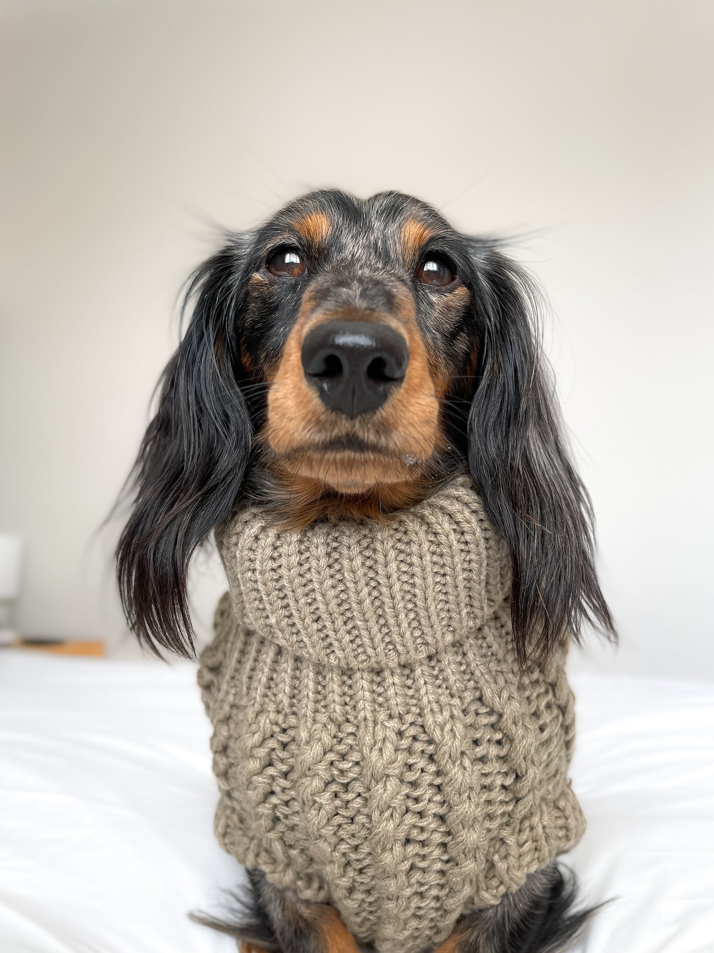 Hand Knitted Dachshund Jumper - Mocha