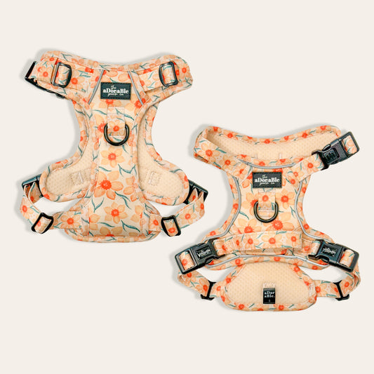 Hike & Go Lite™ Harness - Delicate Daffodils