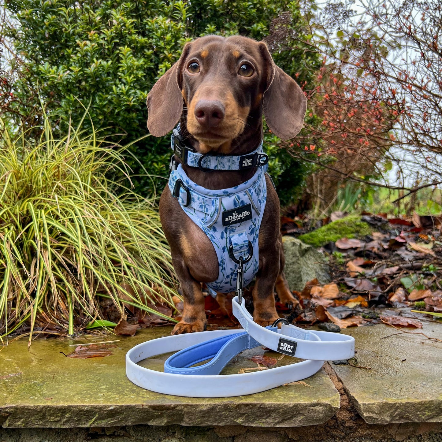 Hike & Go Lite™ Harness - Bluebell Bliss