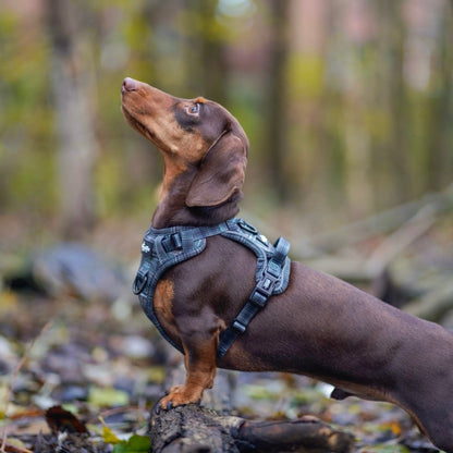 Hike & Go™ Harness - LUXE Hunter Green Plaid