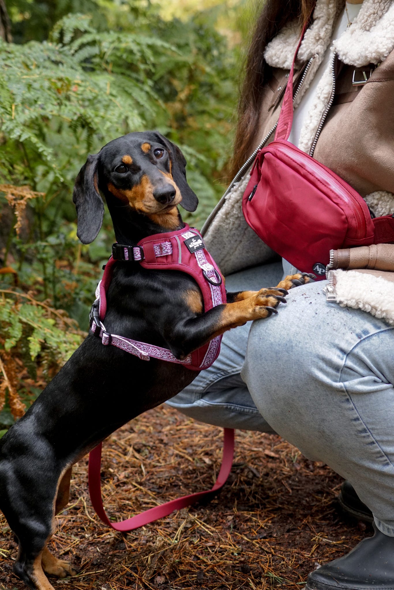 Slimline Everyday Bumbag - Dark Cherry Red