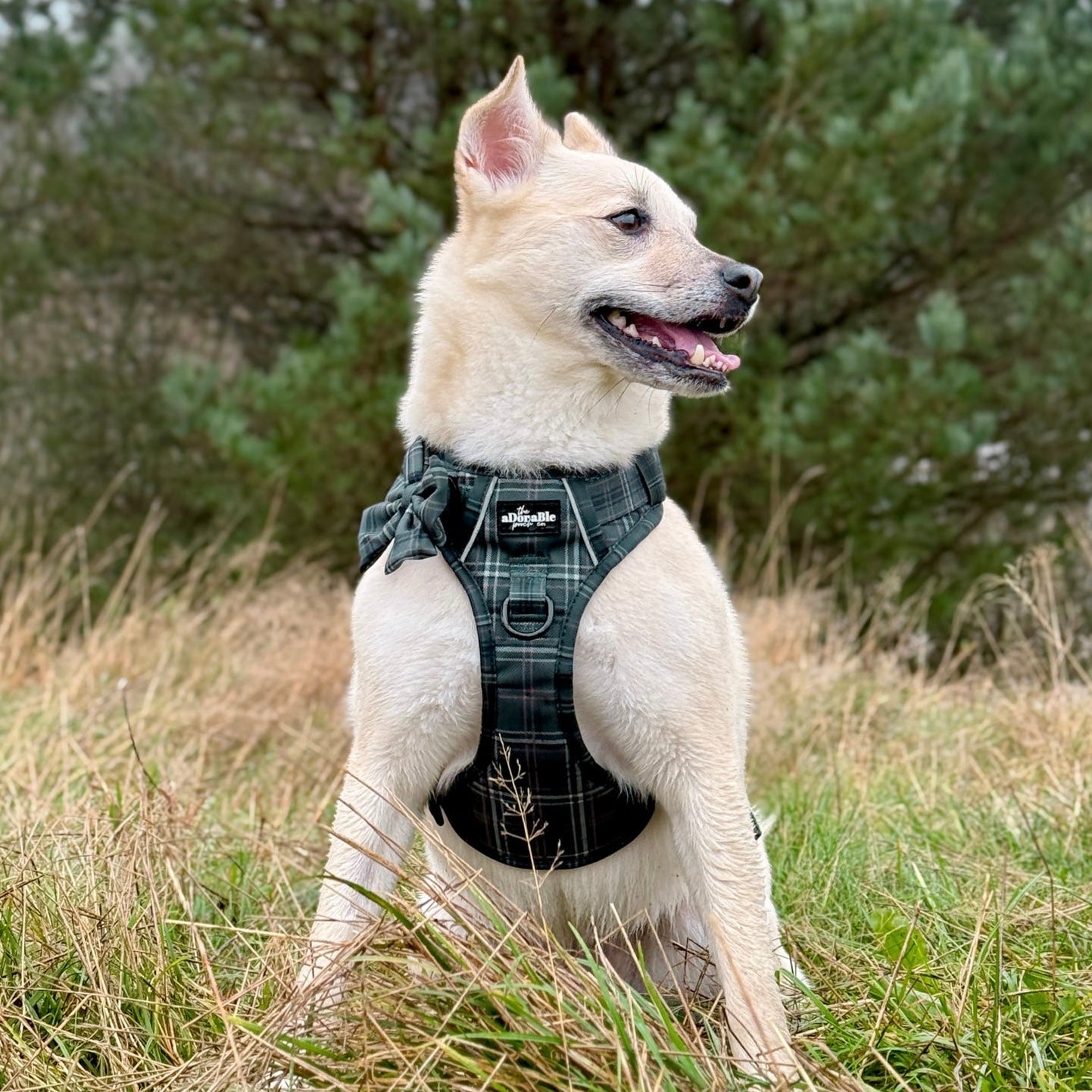 Hike & Go™ Harness - LUXE Hunter Green Plaid